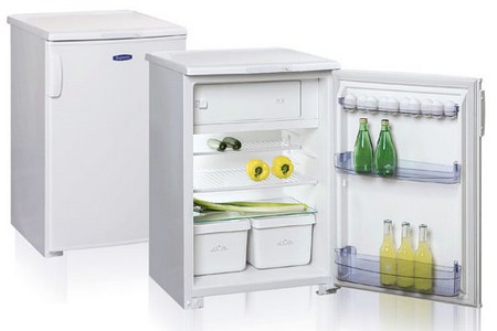 Холодильник «Бирюса 8»