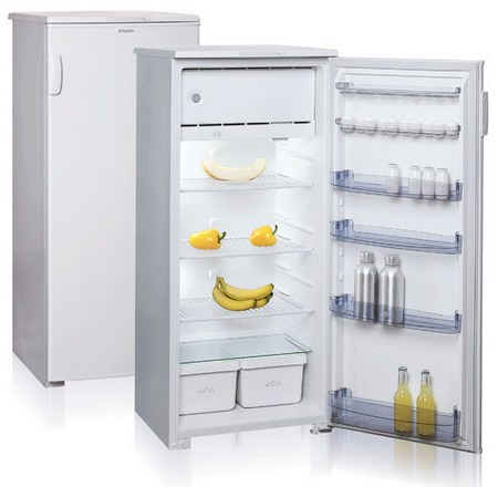 Холодильник «Бирюса 6»