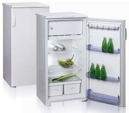 Холодильник «Бирюса 10»