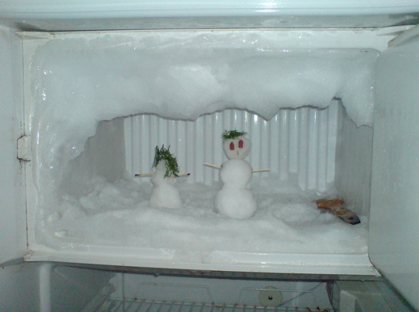 В холодильнике с системой No Frost вы такого не увидите